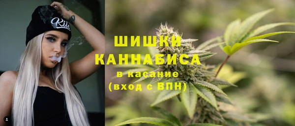PSILOCYBIN Елабуга