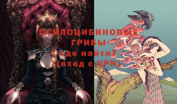 не бодяженный Ветлуга
