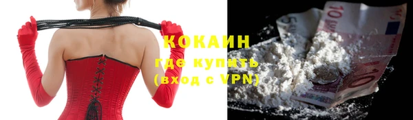 PSILOCYBIN Елабуга