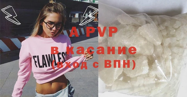 PSILOCYBIN Елабуга