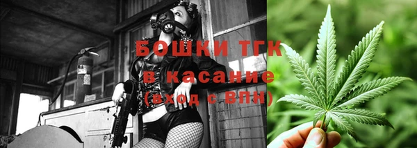 PSILOCYBIN Елабуга